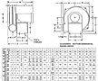 Direct Drive Medium Pressure Cast Aluminum Blowers - 2